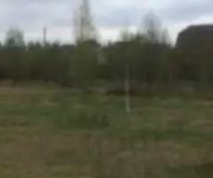 Участок соток 60 км от МКАД - 3