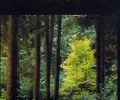 Иллюстрированная энциклопедия Артия - 2