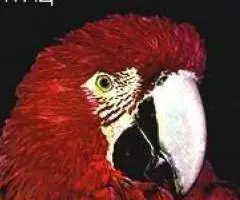 Иллюстрированная энциклопедия Артия - 3