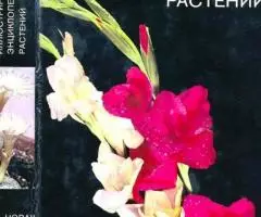 Иллюстрированная энциклопедия Артия - 4