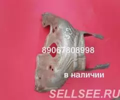 Кожух защита выпускного коллектора Ситроен с4 Citroen c4 - 3