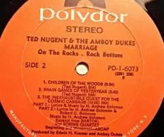 Пластинка виниловаяTed Nugent The Amboy Dukes - Marriage On ... - 3