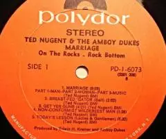 Пластинка виниловаяTed Nugent The Amboy Dukes - Marriage On ... - 4