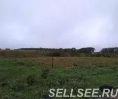 участок 12 соток в ясной поляне - 2