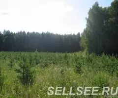 Продаю садовый участок 6 соток на озере Таватуй - 2