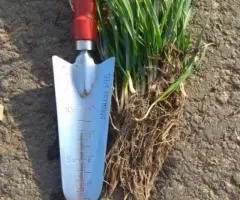 Стимулятор роста растений - органическое удобрение ПроРостим - 2