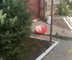 Сдаётся 3-ёх эт дом 7 комнат в Сосновом Бору - 2