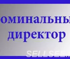 Номинальный директор без опыта работы