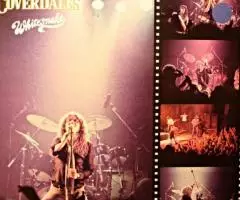 Пластинка виниловая David Coverdales Whitesnake - Snakebite