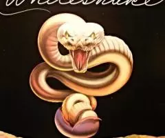 Пластинка виниловая Whitesnake - Trouble