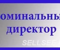 Номинальный директор без опыта работы