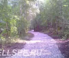 10 участков под дачное строительство по Ярославскому шоссе. - 3