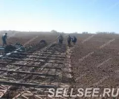 Борона зубовая БЗСС-1,0 БЗСТ-1,0 - от Производителя - 2