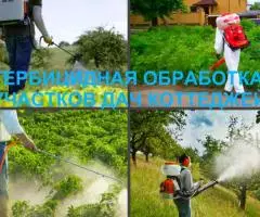 Гербицидная обработка Воронеж, от сорняков в Воронеже - 2