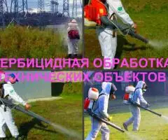 Гербицидная обработка Воронеж, от сорняков в Воронеже - 3