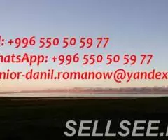 guide, chauffeur au Kyrgyzstan, tourism, voyages, . .. - 3