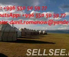 guide, driver in Kyrgyzstan, tourism, travel, excursions, . .. . - 4