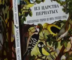 Кайгородов Дмитрий. Из царства пернатых Популярные очерки из мира русс ...