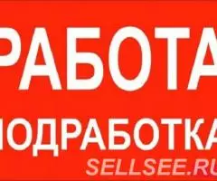 Регистратор подработка выплаты ежедневно