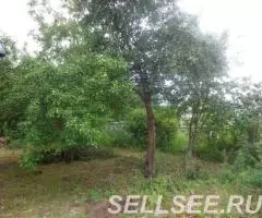 Продаю дача , 30 кв.м , кирпичный - 3