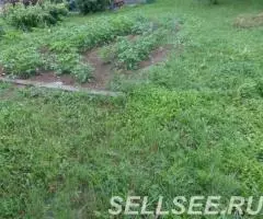 Продаю дача , 30 кв.м , кирпичный - 4