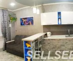 Элитная квартира по часам и суткам - 4