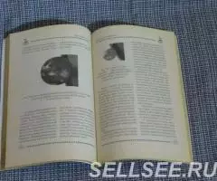 Планеты и звёзды. И. Ю. Арчаков. - 3