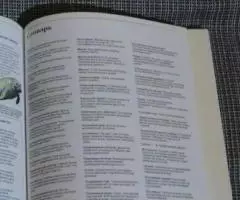 Энциклопедия окружающего мира. Моря и океаны. - 4