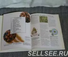 Энциклопедия окружающего мира. Атомы и молекулы. - 3