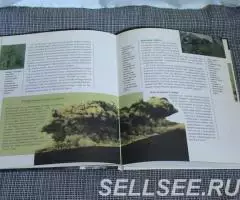 Загадки земли. Катастрофы природы. - 4