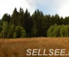 Участок 14 соток, ИЖС, коммуникации, лес, 8 км. от г. .. . - 2