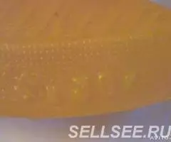 лошадка качалка пластмассовая СССР - 4