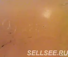 маленькая лошадка пластмассовая СССР - 3