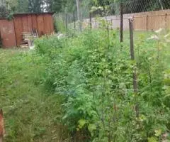 Продаю дача , 18 кв.м , деревянный - 3