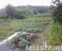 Продаю дача , 18 кв.м , деревянный - 4