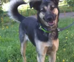 Была домашней. .. Берта мечтает о семье. .. - 3