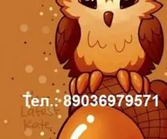 фирменный приводной ремень пассик для магнитофона и ЭПУ - 2