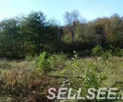 Продам Участок ИЖС 1.65 га - 2