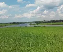 Продаю участок ЗНП, ДПХ дер. Хребтово Сергиево-Посадский ... - 2