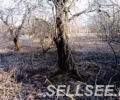 Продаю  дом , 35 кв.м , деревянный - 2