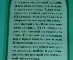 Святитель Игнатий Брянчанинов. Странник. Серия Русская ... - 2