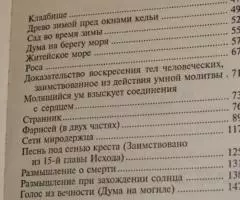 Святитель Игнатий Брянчанинов. Странник. Серия Русская ... - 3