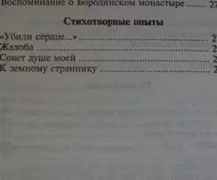 Святитель Игнатий Брянчанинов. Странник. Серия Русская ... - 4