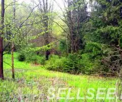 Участок 15 соток, ИЖС, коммуникации, со своим еловым лесом - 3