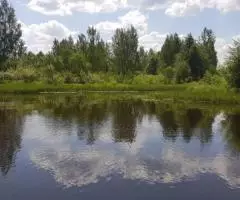 Земельный участок 57,2535 Га в дер. Панютино Калязинского района Тверской области - 6