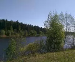 Земельный участок 57,2535 Га в дер. Панютино Калязинского района Тверской области - 7