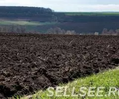 Продаю поле 95 Га Сельхозназначения - 2