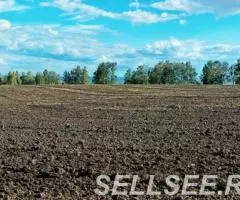 Продаю поле 95 Га Сельхозназначения - 3