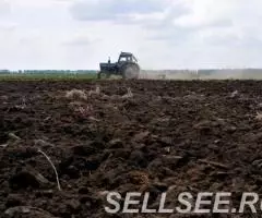 Продаю поле 95 Га Сельхозназначения - 4