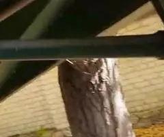 Буксирно-моторный катер БМК 130 МЛ - 4